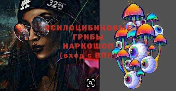 МДПВ Алзамай
