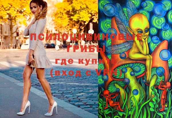 МДПВ Алексин